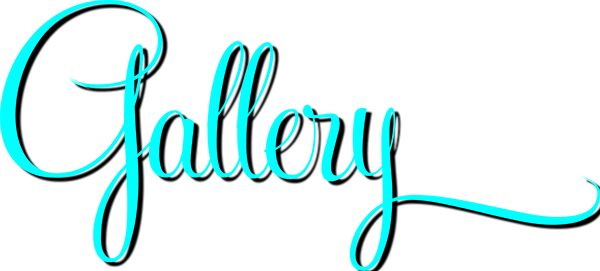 our photo gallery